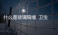 什么是玻璃隔墻  衛(wèi)生間玻璃隔墻種類,行業(yè)資訊