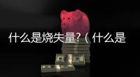 什么是燒失量?（什么是燒失量）