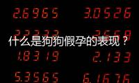 什么是狗狗假孕的表現？狗狗假孕對身體有什么危害