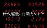 什么是獵頭公司法人（什么是獵頭公司）