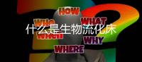 什么是生物流化床
