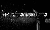 什么是生物滴濾塔（生物滴濾塔工作原理）