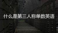 什么是第三人稱單數(shù)英語（什么是第三人稱單數(shù)）
