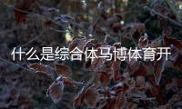 什么是綜合體馬博體育開(kāi)戶