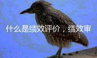 什么是績效評價，績效審計原理如何