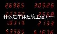 什么是單體建筑工程（什么是單體建筑）