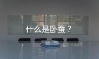 什么是臥蠶？