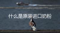 什么是原裝進口奶粉