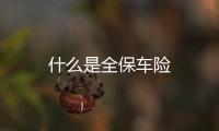 什么是全保車險