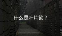 什么是葉片鎖？