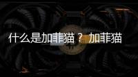 什么是加菲貓？ 加菲貓的