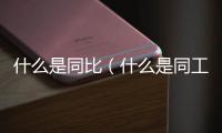 什么是同比（什么是同工同酬）