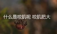 什么是咬肌呢 咬肌肥大怎么辦呢