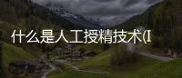 什么是人工授精技術(IUI)?適用人群到成功率,3分鐘弄懂
