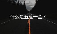 什么是五險一金？