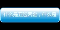 什么是五險(xiǎn)兩金，什么是“五險(xiǎn)”