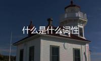 什么是什么詞性