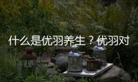 什么是優羽養生？優羽對人體有什么好處？