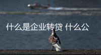 什么是企業轉貸 什么公司可以做轉貸業務