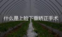 什么是上瞼下垂矯正手術？矯正上瞼下垂主要方法有哪些？
