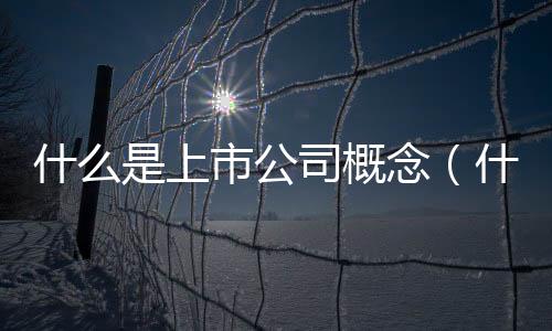 什么是上市公司概念（什么是上市公司）