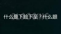 什么是下瞼下至？什么眼型的人適合做下瞼下至？