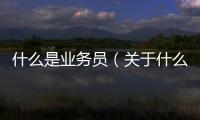 什么是業(yè)務員（關于什么是業(yè)務員的基本情況說明介紹）