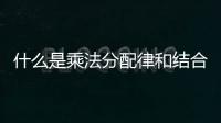 什么是乘法分配律和結合律 什么是乘法分配律