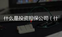 什么是投資擔保公司（什么是投資擔保公司）