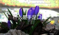 什么是手足口病