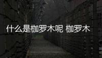 什么是枷羅木呢 枷羅木有什么作用呢