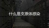 什么是支原體感染