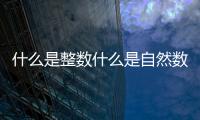 什么是整數什么是自然數 啥叫整數啥叫自然數