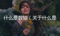 什么是數軸（關于什么是數軸的基本情況說明介紹）