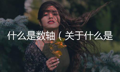 什么是數(shù)軸（關(guān)于什么是數(shù)軸的基本情況說明介紹）