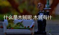 什么是木賊呢 木賊有什么作用呢