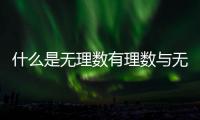 什么是無(wú)理數(shù)有理數(shù)與無(wú)理數(shù)的區(qū)分（什么是無(wú)理數(shù)）