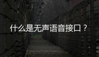 什么是無聲語音接口？
