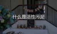 什么是活性污泥