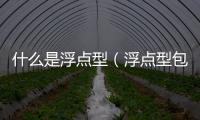 什么是浮點型（浮點型包括什么）