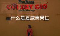 什么是夏威夷果仁