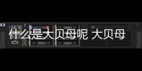 什么是大貝母呢 大貝母有什么藥用價值呢