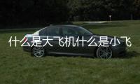什么是大飛機什么是小飛機（什么是打飛機）