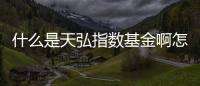什么是天弘指數基金啊怎么看，什么是天弘指數基金啊