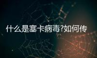 什么是塞卡病毒?如何傳染的?怎么預防最有效?