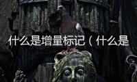 什么是增量標記（什么是增量房）
