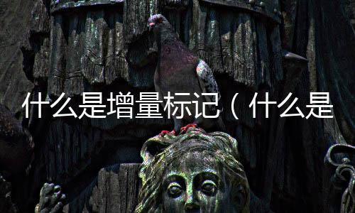 什么是增量標記（什么是增量房）