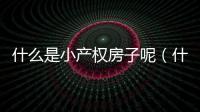 什么是小產(chǎn)權(quán)房子呢（什么是小產(chǎn)權(quán)房子）