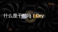 什么是干船塢（Dry Dock）？