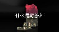 什么是野荸薺